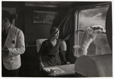 Miss Betty Chandler/New York mit ihrem drahthaarigen Terrier im Zug Cherbourg-Paris