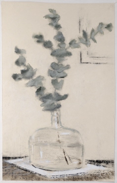 Eukalyptuszweig in Flasche