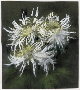 Weissgelbe Chrysanthemen