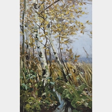 Birkenwäldchen im Herbst
