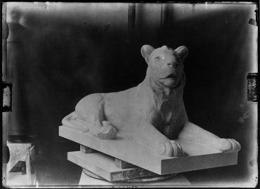 Ohne Titel (Im Atelier von August Gaul: Skulptur eines liegenden jungen Löwen von vorn)