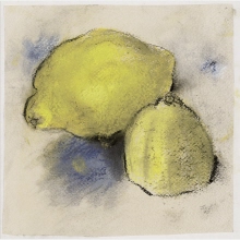 Zitronen und Graublau